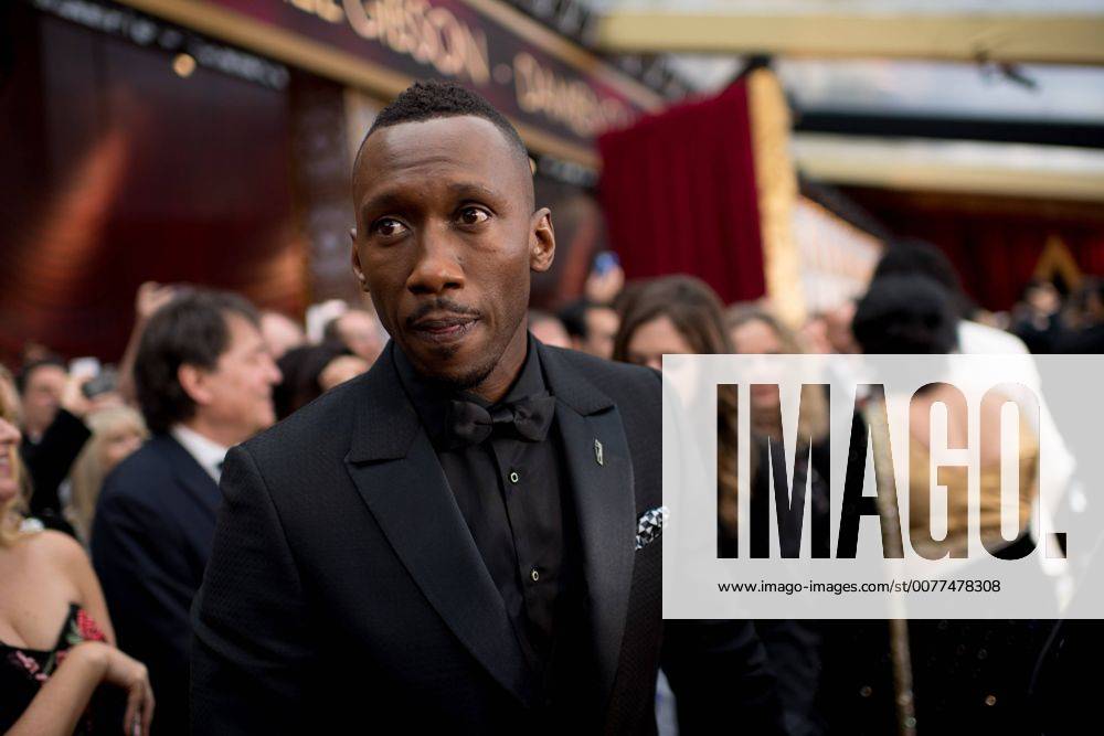 Feb 26, 2017 - Hollywood, California, U.S. - MAHERSHALA ALI, Oscar nominee, arrives on the red carpet of The 89th Oscars at the Dolby Theatre in Hollywood, CA on Sunday, February 26, 2017. Hollywood U.S. - ZUMAz03_ 20170226_sho_z03_800
