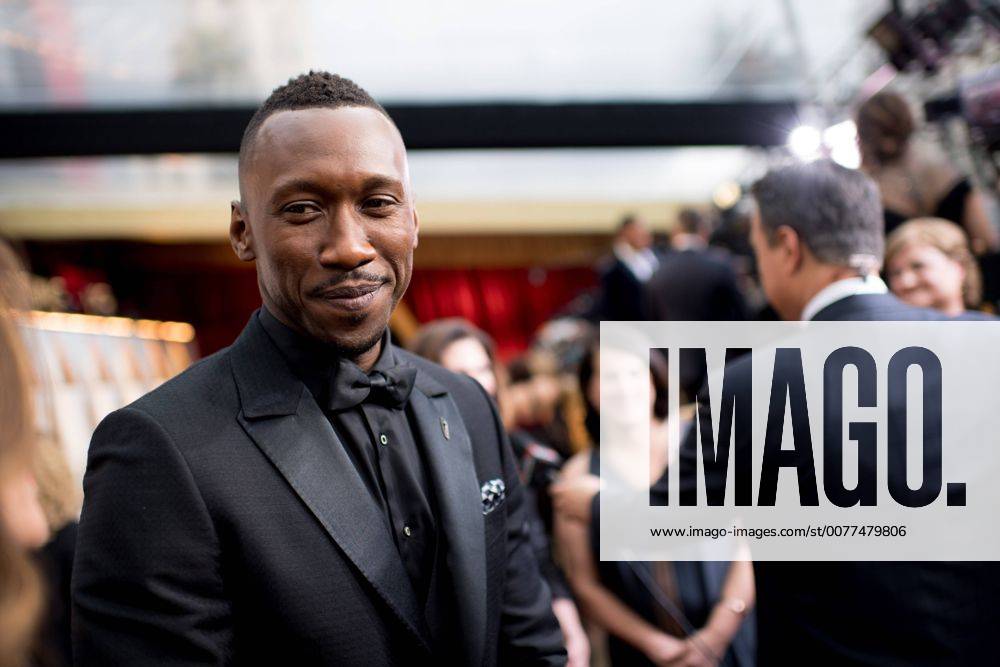 Feb 26, 2017 - Hollywood, California, U.S. - MAHERSHALA ALI, Oscar nominee, arrives on the red carpet of The 89th Oscars at the Dolby Theatre in Hollywood, CA on Sunday, February 26, 2017. Hollywood U.S. - ZUMAz03_ 20170226_sho_z03_799