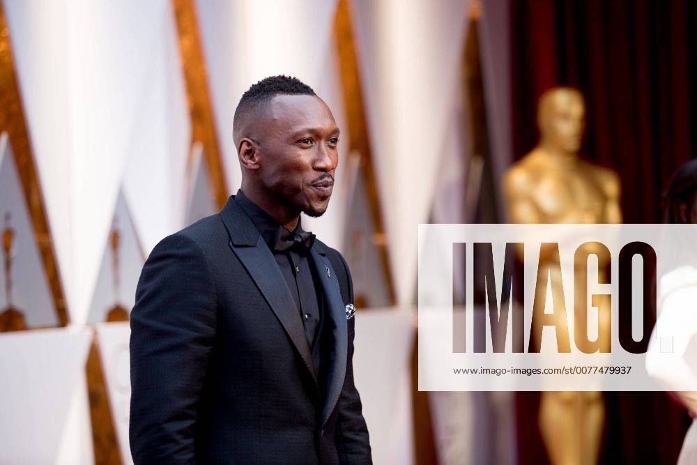 Feb 26, 2017 - Hollywood, California, U.S. - Oscar nominee MAHERSHALA ALI arrives at The 89th Oscars at the Dolby Theatre in Hollywood, CA on Sunday, February 26, 2017. Hollywood U.S. - ZUMAz03_ 20170226_sho_z03_817