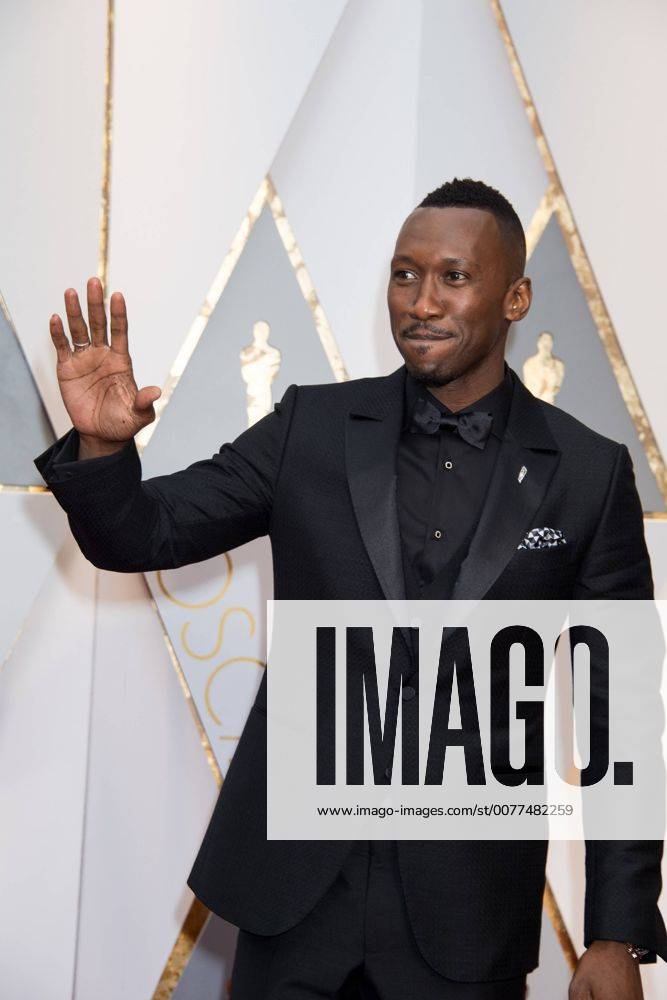 Feb 26, 2017 - Hollywood, California, U.S - Oscar-nominee MAHERSHALA ALI arrives at The 89th Oscars at the Dolby Theatre in Hollywood, CA on Sunday, February 26, 2017. Hollywood U.S - ZUMAz03_ 20170226_sho_z03_492