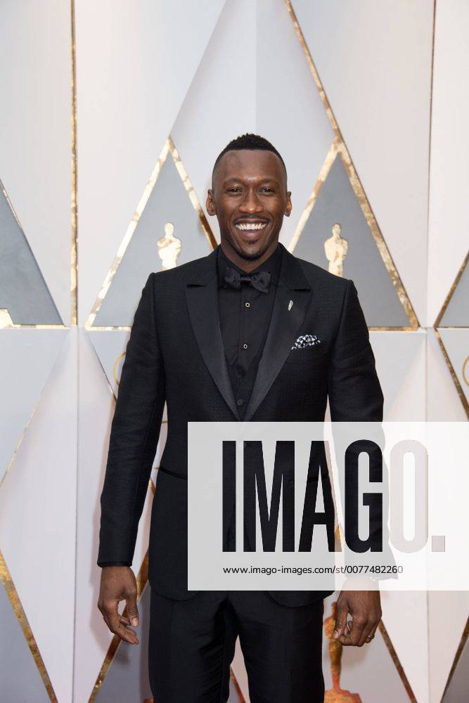 Feb 26, 2017 - Hollywood, California, U.S - Oscar-nominee MAHERSHALA ALI arrives at The 89th Oscars at the Dolby Theatre in Hollywood, CA on Sunday, February 26, 2017. Hollywood U.S - ZUMAz03_ 20170226_sho_z03_493
