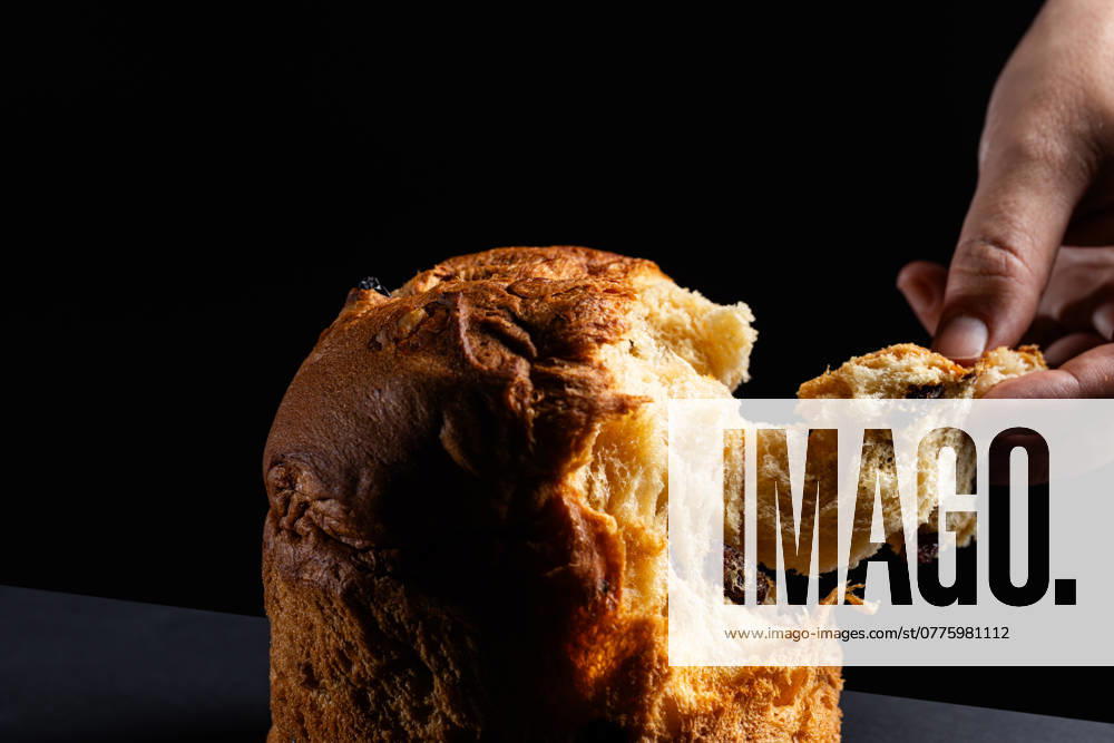 Close-up shot of a cropped unrecognizable hand tearing off a fluffy, fruit-filled piece of Panettone, a popular Italian Christmas sweet bread, highlighted against a dark backdrop. Model Released AlexSalcedo_ID24525_711121_030