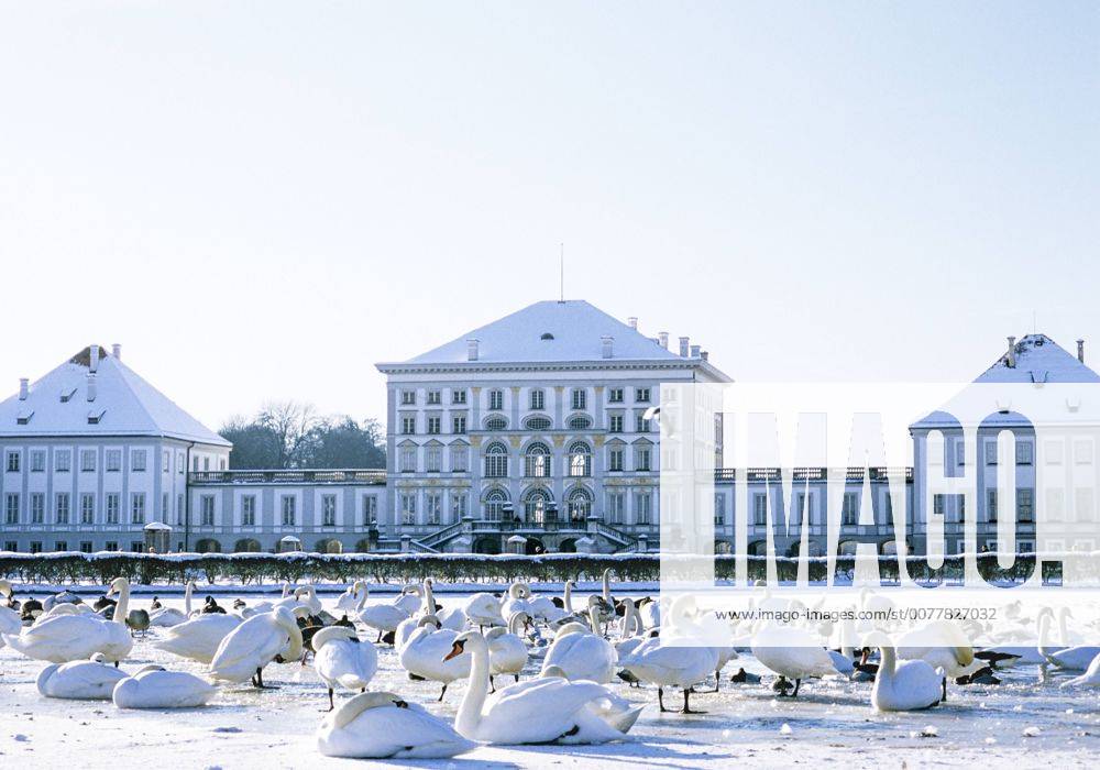 Schloss Nymphenburg mit Schwaenen im Winter, Muenchen, Bayern