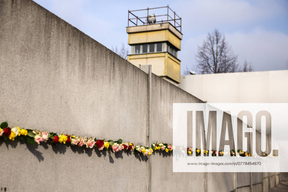 35th Anniversary Of The Fall Of The Berlin Wall Flowers at Berlin Wall Memorial after the commemoration ceremony marking the 35th anniversary of the fall of the Berlin Wall. Berlin, Germany on 9 November, 2024. Berlin Germany