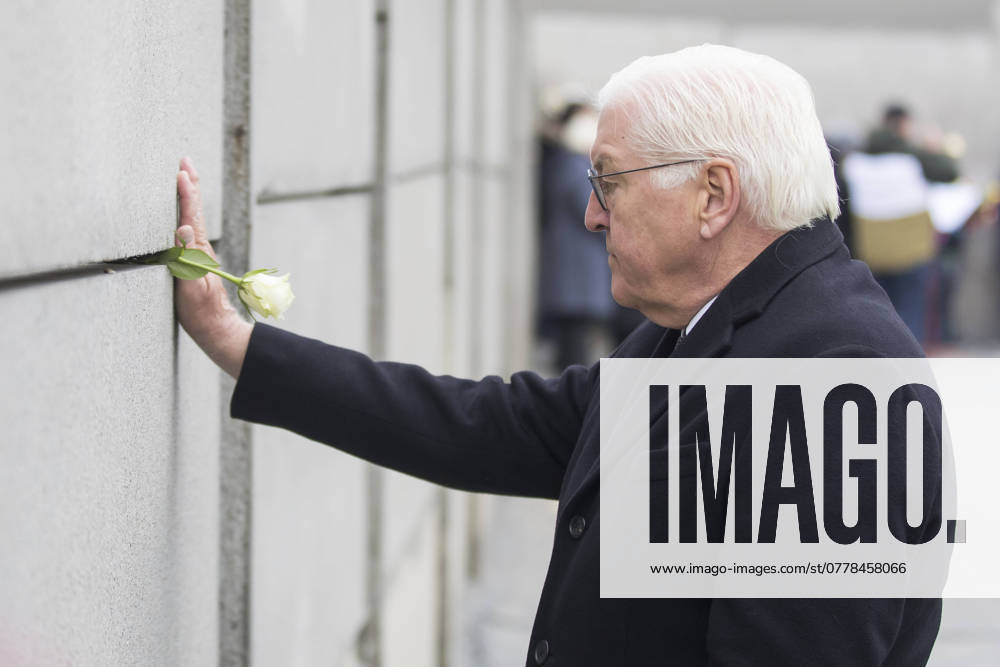 35th anniversary of the fall of the Berlin Wall, central commemorative event at the Berlin Wall Memorial, Berlin, 09 11 2024 Frank Walter Steinmeier Federal President of the Federal Republic of Germany sticks a rose into the Wall at the central commemorative event at the Berlin Wall Memorial to mark the 35th anniversary of the fall of the Berlin Wall in Berlin, 09 11 2024 Berlin ci