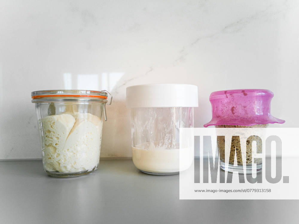 Three jars with different types of sourdough bread on table in kitchen Vilnius, Vilnius County, Lithuania R_EDSAHG210708-791070-01