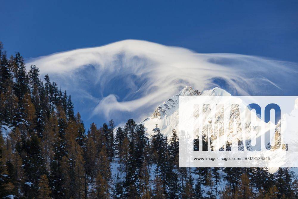 White cloud at dawn lights up Piz Bernina and Biancograt, framed by woods, Canton of Graubunden, Engadine, Switzerland, Europe