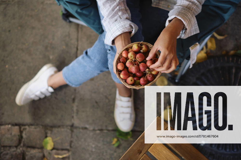IMAGO Creative, Jahreszeit Sommer, Kirschen Gardener sitting with bowl of cherries model released, Symbolfoto property released, ASGF05763