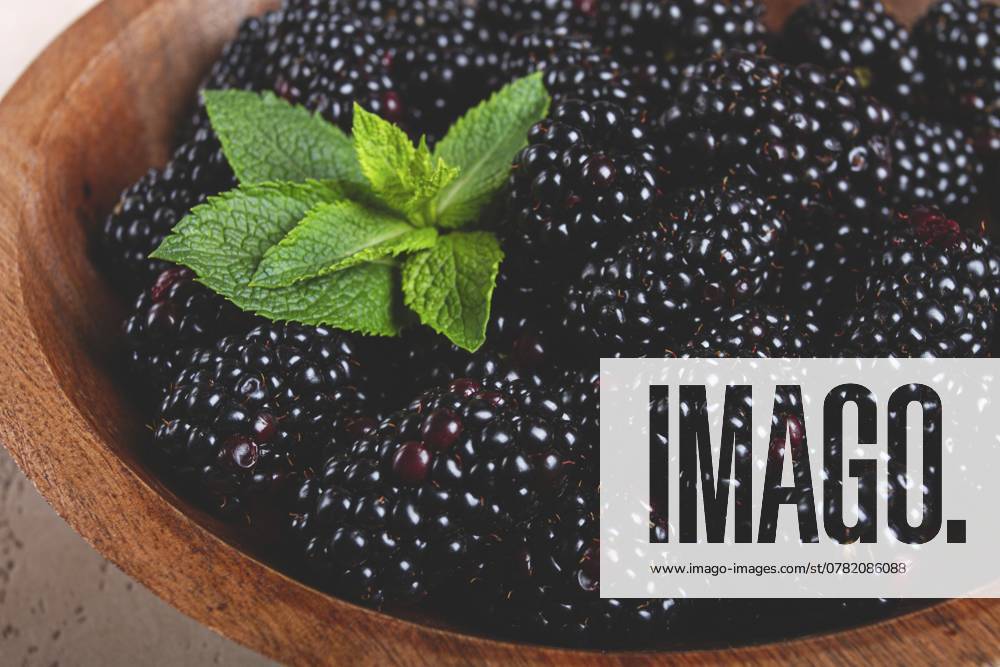 Brombeeren, in einer Holzschale, Draufsicht, ohne Menschen Blackberries, in a wooden bowl, top view, no people