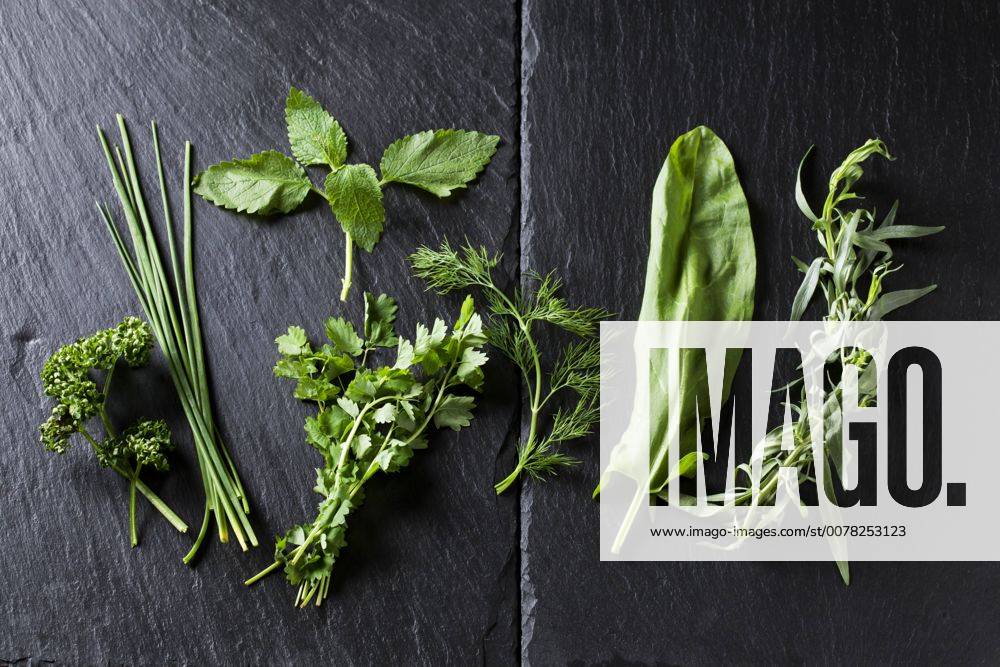Ingredients of Frankfurt green sauce CSF28186