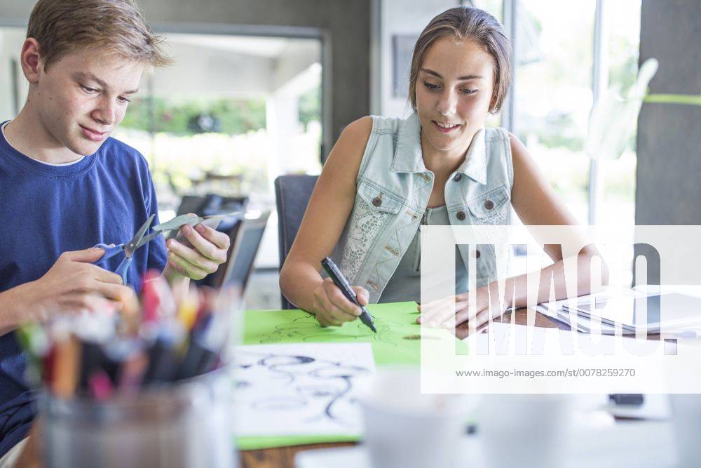 Boy and girl working on project together model released Symbolfoto property released ZEF13479