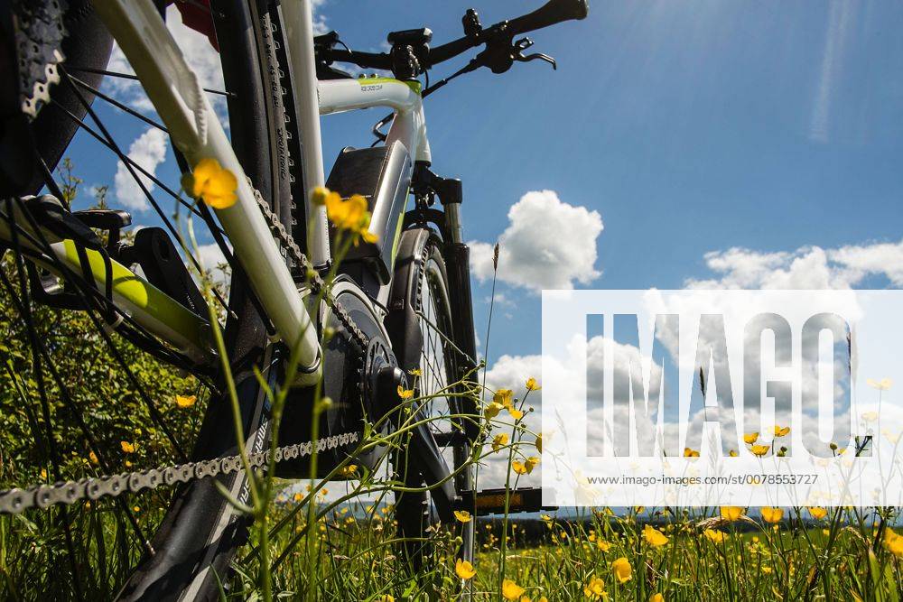 Auf einer Blumenwiese mit gelben Blumen steht unter blauem Wolkenhimmel ein e-Bike mit Bosch Motor. Ein eBike auf einer Blumenwiese