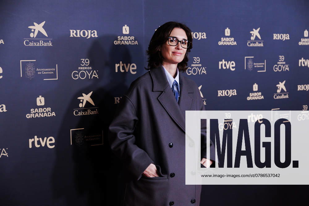The Film Academy unveils the nominees for the 39th edition of the Goya Awards The actress and nominee for Best New Director at the Goya Awards, Paz Vega, poses after the presentation of the nominees for the 39th edition of the Goya Awards, at the Film Academy, on December 18, 2024, in Madrid Spain Natalia de Molina and Álvaro Cervantes are in charge of unveiling the names from Granada, where the awards ceremony will take place on February 8 For the first time in the history of these awards, the announcement of the nominations travels to the host city, against the backdrop of the Alhambra, the Alhambra, the announcement of the nominations travels to the host city of the gala, with the Alhambra as a backdrop A total of 209 Spanish films rele