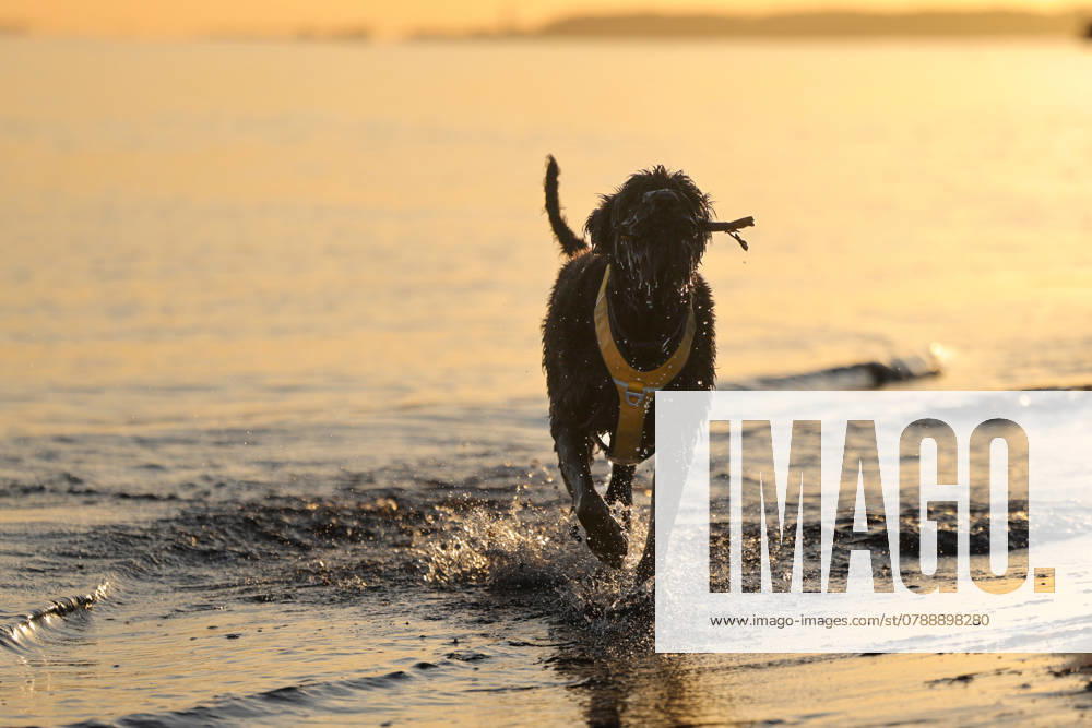 IMAGO stock photo