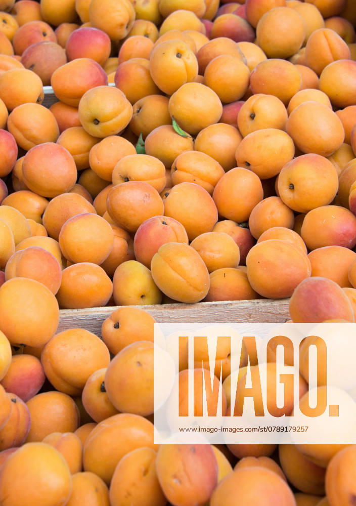 Apricots on sale as summer fruit ,model released, Symbolfoto