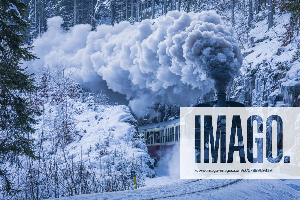 Steam locomotive 310.0134 called Kafemlejnek during the post-Christmas historical ride on the cog railway line between Korenov and Harrachov, Jablonec region, December 30, 2024. (CTKxPhoto RadekxPetrasek) CTKPhotoP2024123004359 CTKPhotoP2024123004359