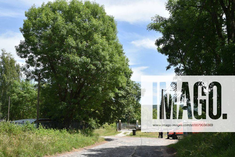 Eichenprozessionsspinner sorgen am Dienstag (13.6.2017) für eine teilweise Sperrung des Saarbrücker Campingsplatzes im Spicherer Weg. Camper hatten die Raupen und ihre Gespinste entdeckt, von den Haaren der Tiere können schwere Verätzungen ausgehen. Die Berufsfeuerwehr beseitigte die Tiere an einer mächtigen Eiche, die unmittelbar auf der deutsch-französischen Grenze steht. bub