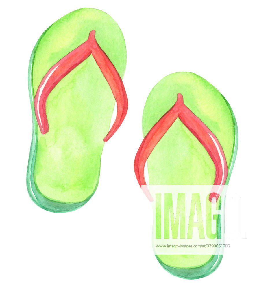 Watercolor hand drawn green flip flops pair with red elements isolated on white background , property released, , 44177042.jpg, accessory, background, beach, beachwear, casual, clothing, comfortable, couple, fashion, flip, flip flops, flop, foot, footwear, graphic, green, hand drawn, holiday, illustration, isolated, kid, man, object, pair, plastic, pool, recreation, red, relax, rubber, sandal, saturated, shoe, shoes, slipper, slippers, sport, summer, summertime, swimming, travel, tropical, two, vacation, vibrant, water, watercolor, wear, white, woman RECORD DATE NOT STATED