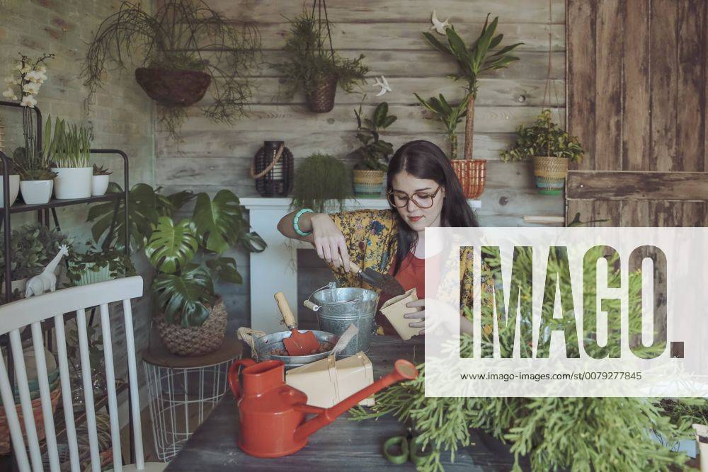 Young woman planting cactuses model released Symbolfoto property released RTBF00873