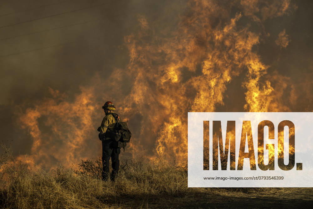 January 11, 2024: Flames near a fire road above Mandeville Canyon during the Palisades Fire. Los Angeles USA - ZUMAh234 20250111_zsp_h234_023