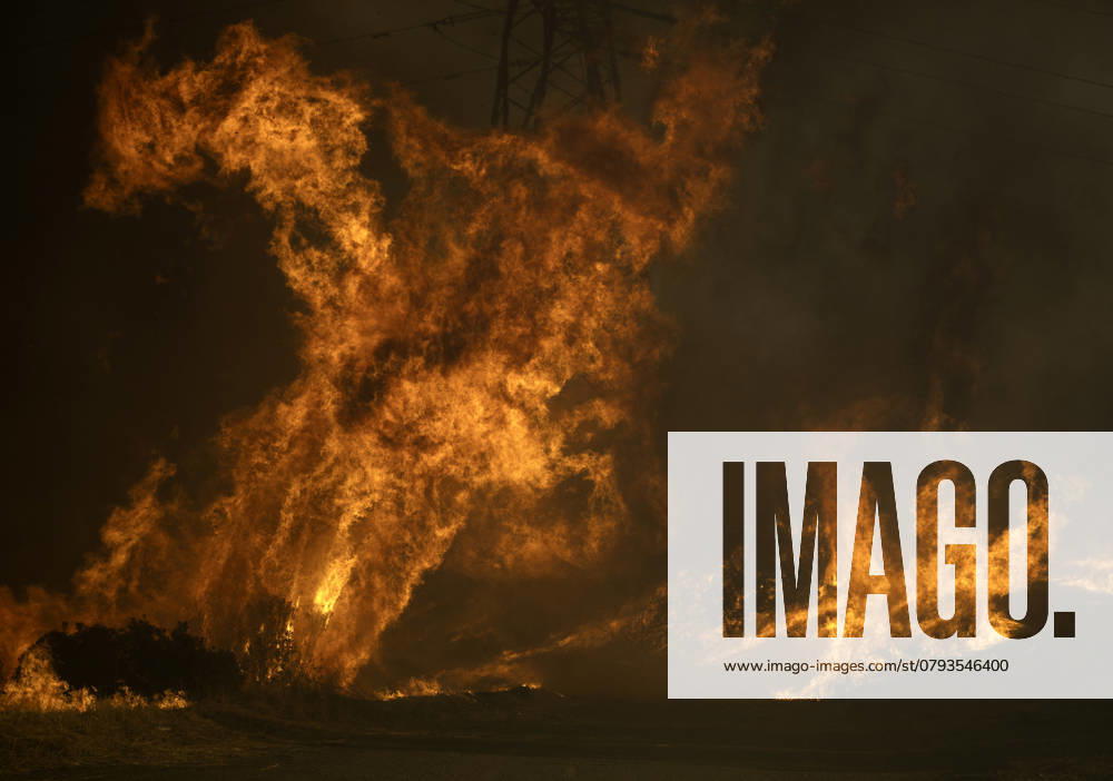 January 11, 2024: Flames cross over a fire road above Mandeville Canyon during the Palisades Fire. Los Angeles USA - ZUMAh234 20250111_zsp_h234_025