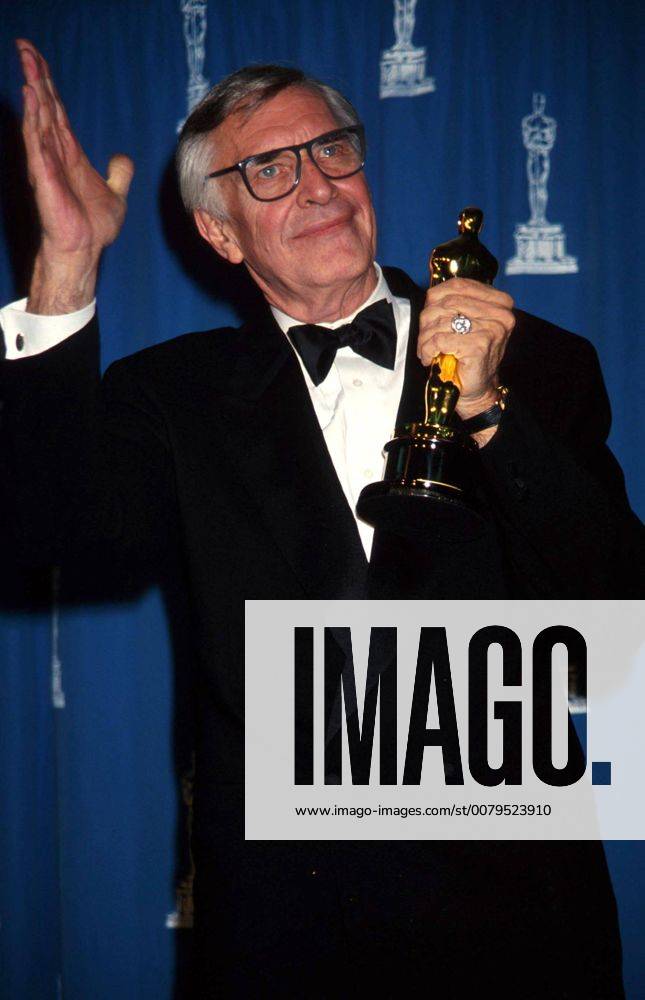 OSCARS. Bester Nebendarsteller. Preisträger 1991-2000 July 16, 2017: File: MARTIN LANDAU (June 20, 1928 to July 15, 2017) was an American film and television actor. His performance in the supporting role of Bela Lugosi in Ed Wood (1994) earned him an Academy Award, a Screen Actors Guild Award and a Golden Globe Award. He continued to perform in film and TV and headed the Hollywood branch of the Actors Studio until his death in 2017. Pictured: Martin Landau Academy Awards. 1995. - ZUMAg108 20170716_sha_g108_549
