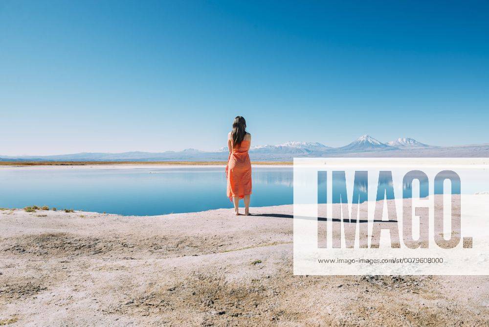 Chile, Atacama Desert, back view of woman standing on edge of Laguna Cejar model released Symbolfoto GEMF01720