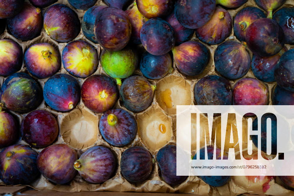 Figs, Paris, France