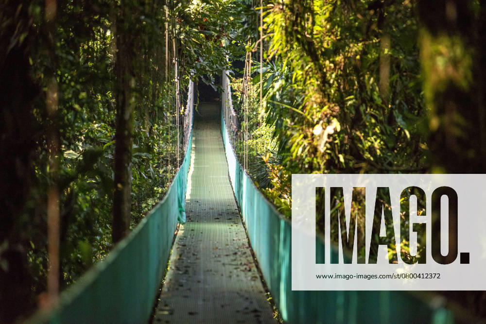 Hanging bridge at natural rainforest park suspended bridge at natural rainforest park, Costa Rica Costa Rica