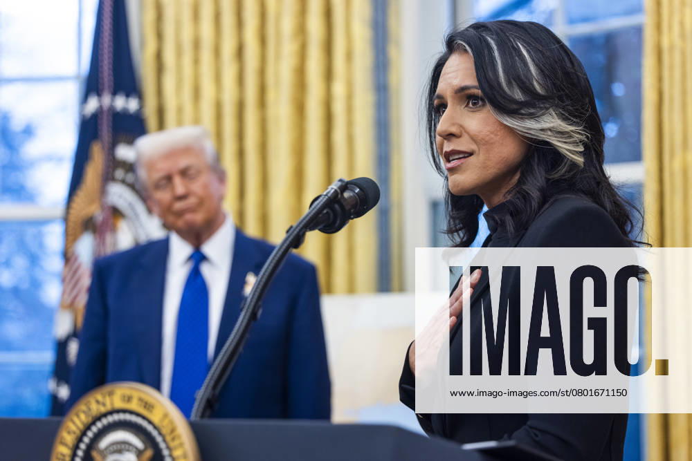 Tulsi Gabbard, Director of National Intelligence (DNI) speaks after she took the Oath of Office in the Oval Office of the White House in Washington, DC, USA, 12 February 2025. Former Senate Minority Leader Mitch McConnell was the only Republican Senator to vote against her nomination.