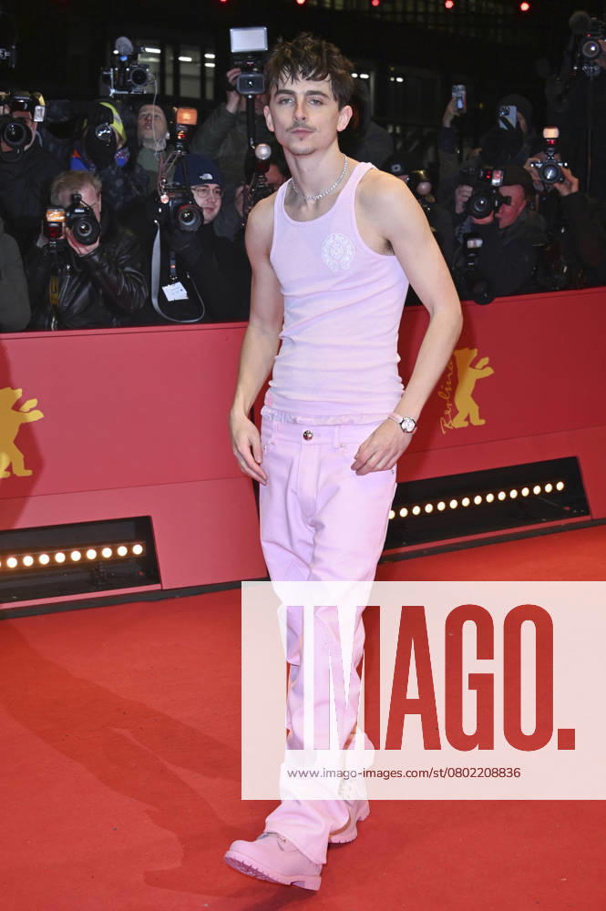 Timothee Chalamet at the premiere of the feature film Like A Complete Unknown at the Berlinale 2025 75 Berlin International Film Festival at the Berlinale Palast Berlin, 14 02 2025 Foto:xD.xBedrosianx xFuturexImagex unknown_prem_5238
