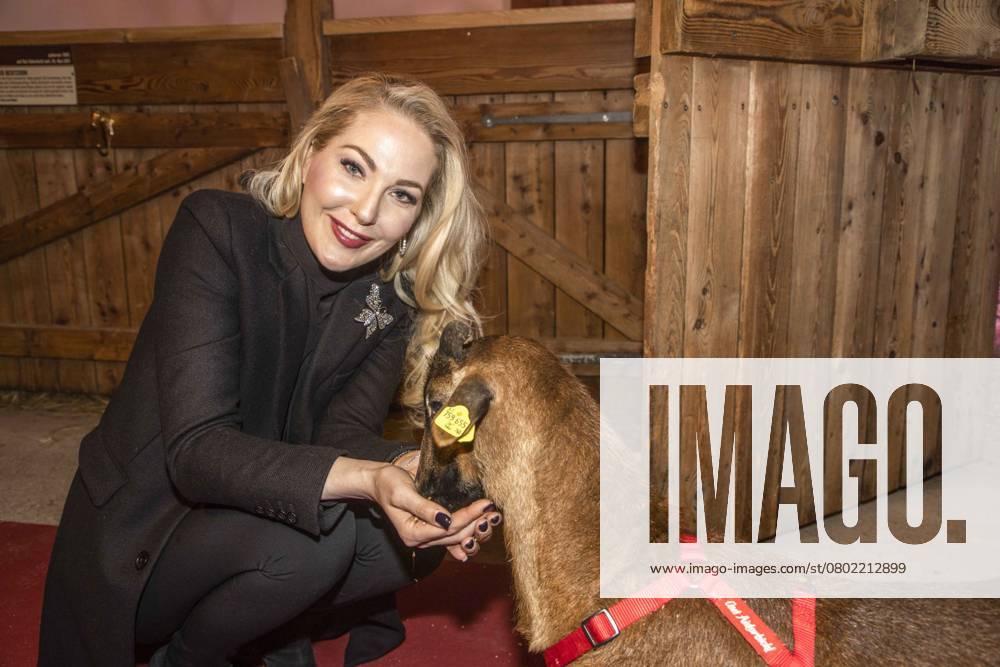 Kathrin Glock during The well Aiderbichl Christmas Market Opening ON November 12, 2019 in Henndorf on Wallersee, Austria Tyrol Austria