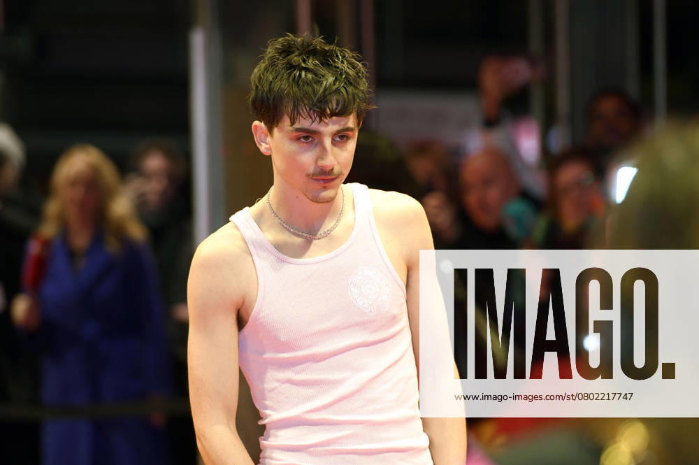 Timothee Chalamet at the premiere of the feature film Like A Complete Unknown at the Berlinale 2025 75 Berlin International Film Festival at the Berlinale Palast Berlin, 14 02 2025 Foto:xC.xNiehausx xFuturexImagex unknown_prem_5226