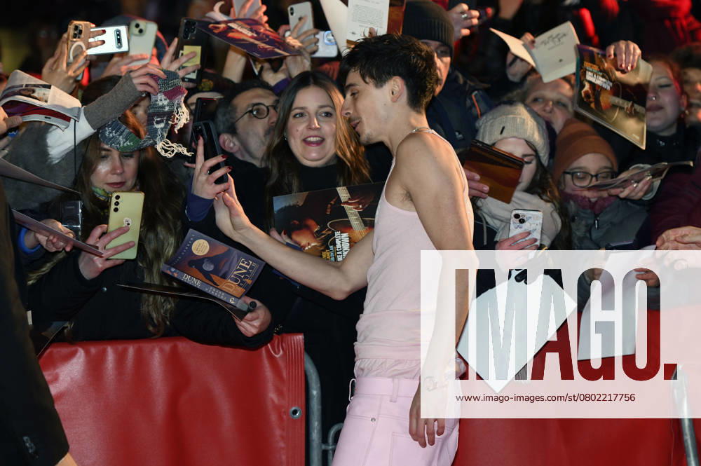 Timothee Chalamet at the premiere of the feature film Like A Complete Unknown at the Berlinale 2025 75 Berlin International Film Festival at the Berlinale Palast Berlin, 14 02 2025 Foto:xC.xNiehausx xFuturexImagex unknown_prem_5230