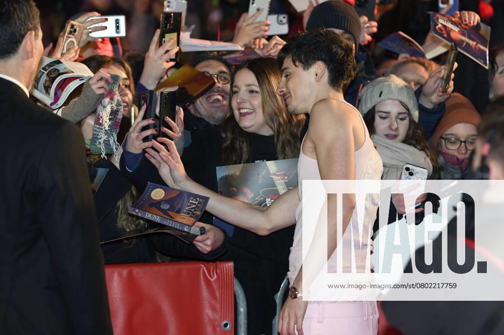 Timothee Chalamet at the premiere of the feature film Like A Complete Unknown at the Berlinale 2025 75 Berlin International Film Festival at the Berlinale Palast Berlin, 14 02 2025 Foto:xC.xNiehausx xFuturexImagex unknown_prem_5231