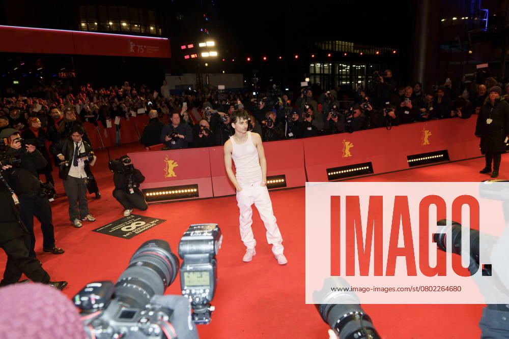 Germany: A complete unknown - red carpet A Complete Unknown premiere during the 75th Berlinale International Film Festival. Berlin Berlin Germany