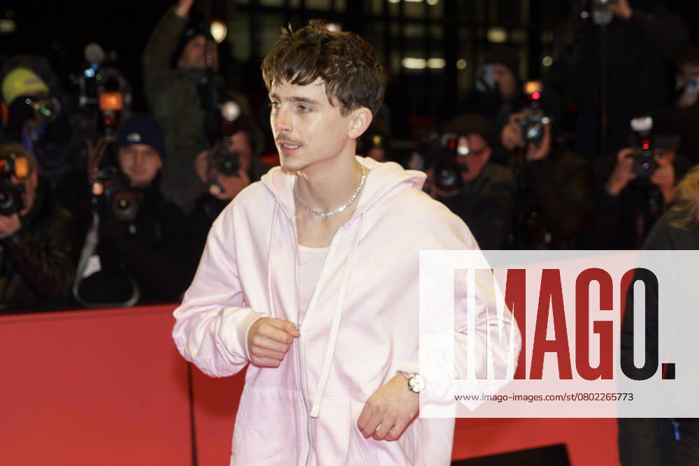Germany: A complete unknown - red carpet A Complete Unknown premiere during the 75th Berlinale International Film Festival. Berlin Berlin Germany
