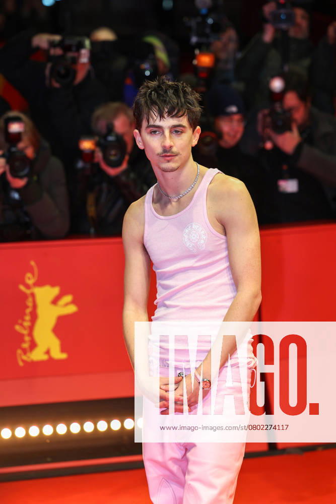 TIMOTHEE CHALAMET attends the Like A Complete Unknown Premiere during the 75th Berlin International Film Festival (Berlinale) in Berlin. Berlin Germany - ZUMAt227 20250214_zip_t227_005