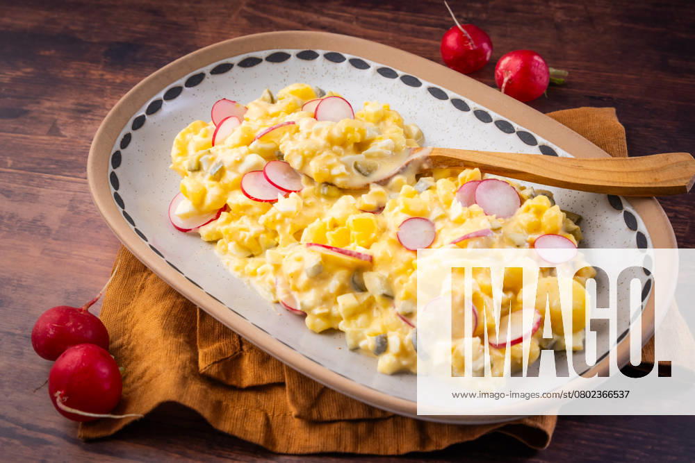 Hausgemachter traditioneller Kartoffel- und Eiersalat mit Essiggurken Homemade traditional potato and egg salad with pickled cucumbers, onions and radish