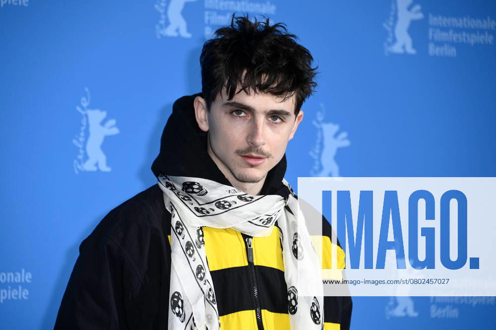 Timothee Chalamet at the photocall for the feature film Like A Complete Unknown at the Berlinale 2025 75 Berlin International Film Festival at the Hotel Grand Hyatt Berlin, 14 02 2025 Foto:xN.xKubelkax xFuturexImagex unknown_5238
