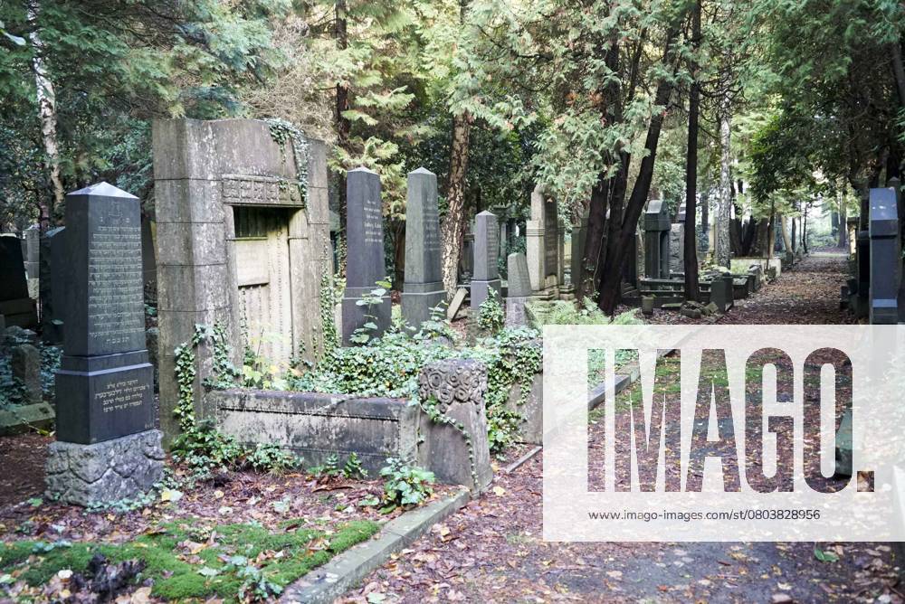 Hamburg Archive image Jewish cemetery 10 23 Jewish Cemetery Hamburg Altona via 400 Years Jewish History the 1611 created Cemetery is one the most important Jewish Cultural monuments Europe here let itself via 400 Years Jewish History and Culture in Hamburg and Altona experience Middle October 2016 dec