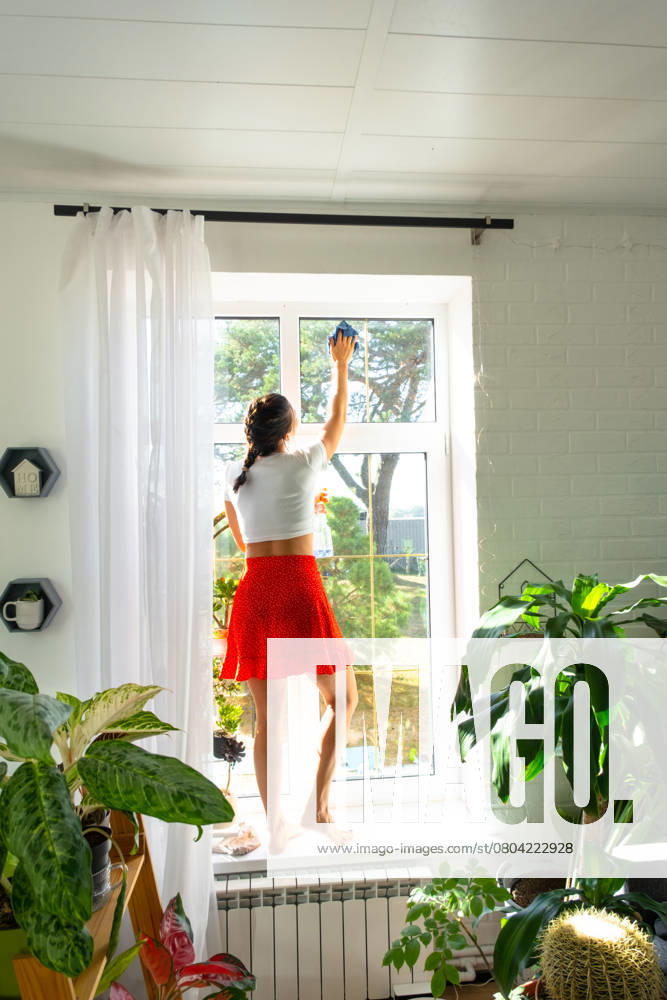 Frau wäscht manuell das Fenster des Hauses mit einem Lappen Reiniger und Wischmopp in den Innenraum mit Heimpflanzen auf der Fensterbank. Wiederherstellung der Ordnung und Sauberkeit im Frühjahr, Reinigungsservice Woman manually washes the window of house with rag cleaner and mop inside the interior with home plants on windowsill. Restoring order and cleanliness in the spring, cleaning servise ,model released, Symbolfoto