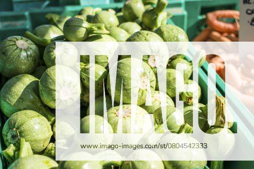 Fresh round zucchinis displayed in a green crate at a vibrant farmers market, capturing the essence of local produce. 28945542 RECORD DATE NOT STATED