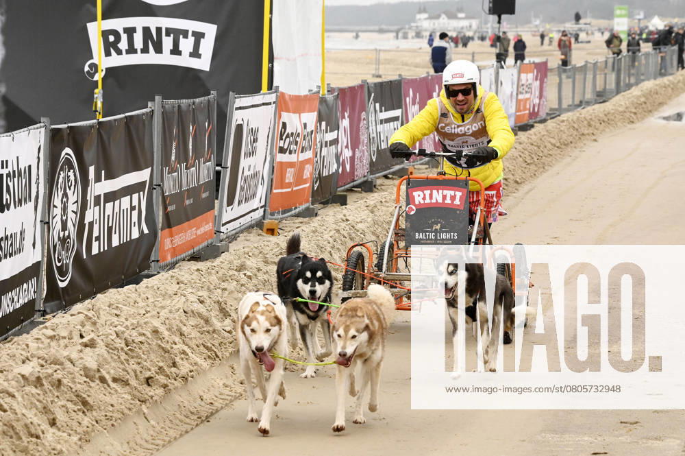 Robert Redweik at the 9 Baltic Lights 2025 charity sled dog race in aid of Welthungerhilfe between the pier in Ahlbeck and the pier in Heringsdorf Heringsdorf, 01 03 2025 Foto:xF.xFuturexImagex baltic_lights_5352