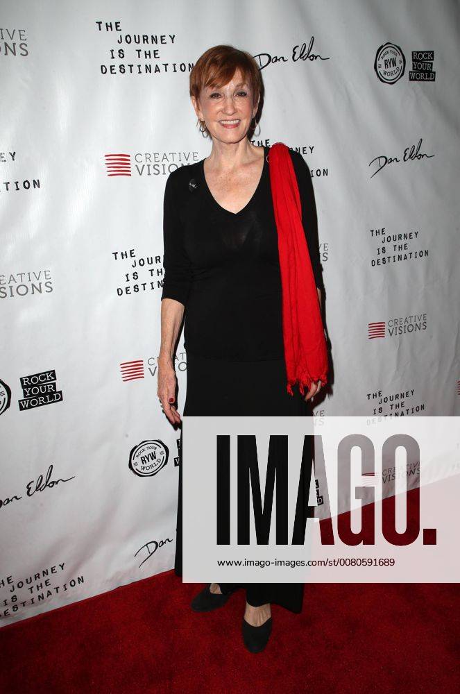 SANTA MONICA CA OCTOBER 24 Kathy Eldon at Premiere Of The Journey Is The Destination At The Laemmle Monica Film Center in Santa Monica California on October 24 2017