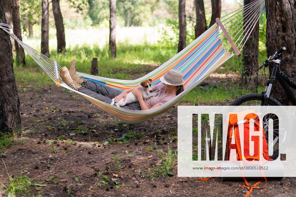 Caucasian woman lies in a hammock with Jack Russell Terrier dog in a pine forest., model released, , 52185716.jpg, woman, resting, hammock, dog, nature, vacation, trip, travel, enjoying, activities, camp, campfire, forest, hike, journey, leisure, outdoors, summer, relaxing, laying, carefree, exploration, lifestyle, tree, pine, female, wood, lying, log, outside, recreation, adventure, backpack, campground, park, picnic, rural, girl, grass, atmosphere, hipster, holiday, mood, campsite, laziness, joy, jack russell terrier, caucasian, friend, love RECORD DATE NOT STATED