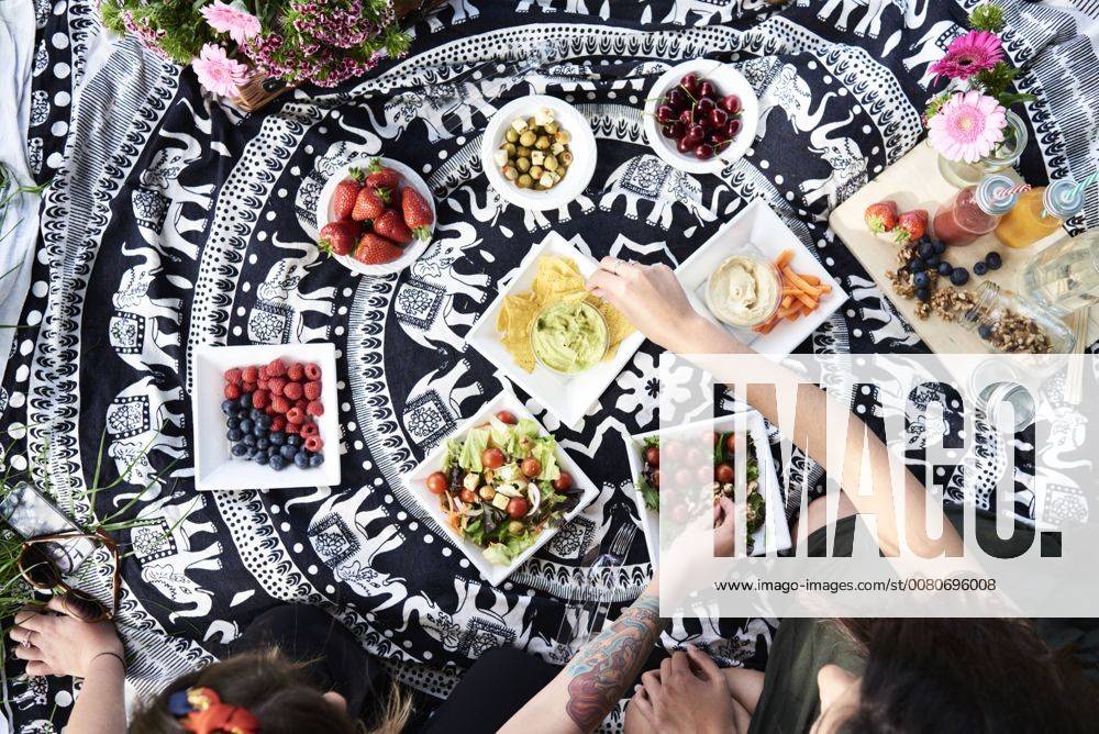 Friends having a healthy picnic in the park model released Symbolfoto IGGF00034