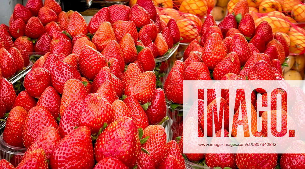 Symbol photo, strawberries, fruit, fresh produce, supermarket, vitamin C, nutrition, spring, regional products, consumption, healthy eating, fruit market, agriculture, sustainability