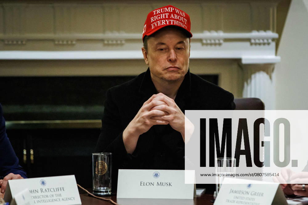 DC: President Trump Meets with his Cabinet Elon Musk, Tesla CEO and Senior Advisor to the President of the United States, attends a meeting with President Donald Trump and members of his Cabinet in the Cabinet Room at the White House in Washington, D.C. on March 24, 2025. (Photo by Samuel Corum Pool ABACAPRESS.COM) Washington DC United States