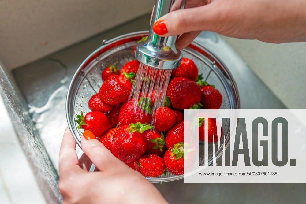 Washing Fresh Strawberries in Kitchen Sink Close-up of hands rinsing fresh strawberries under running water in a kitchen sink. The red berries are in a metal colander. Perfect for themes of fresh produce, food preparation, and healthy eating
